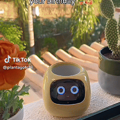 Smart Planter Endless Fun Over