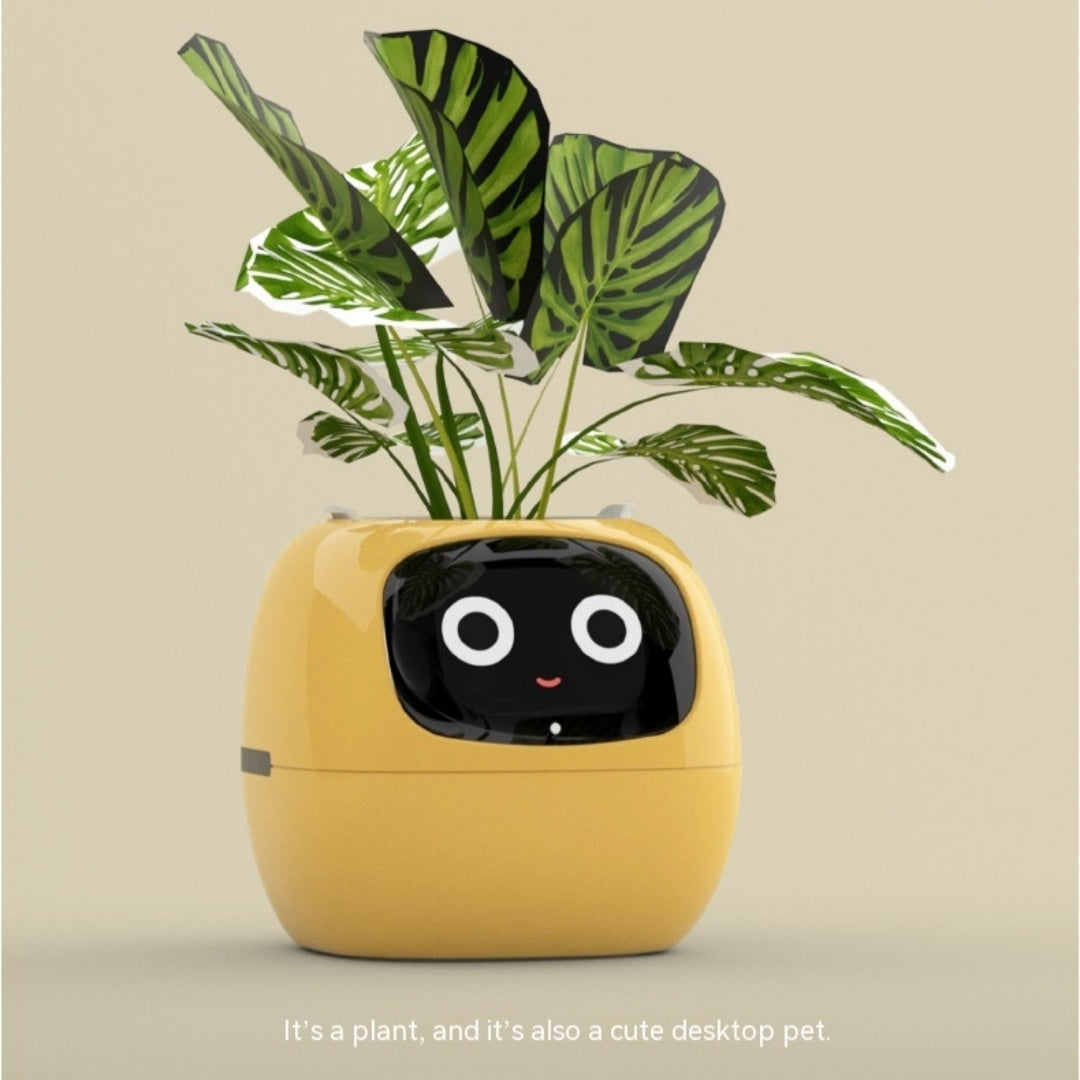 Smart Planter Endless Fun Over