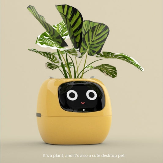 Smart Planter Endless Fun Over