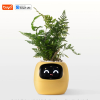 Smart Planter Endless Fun Over