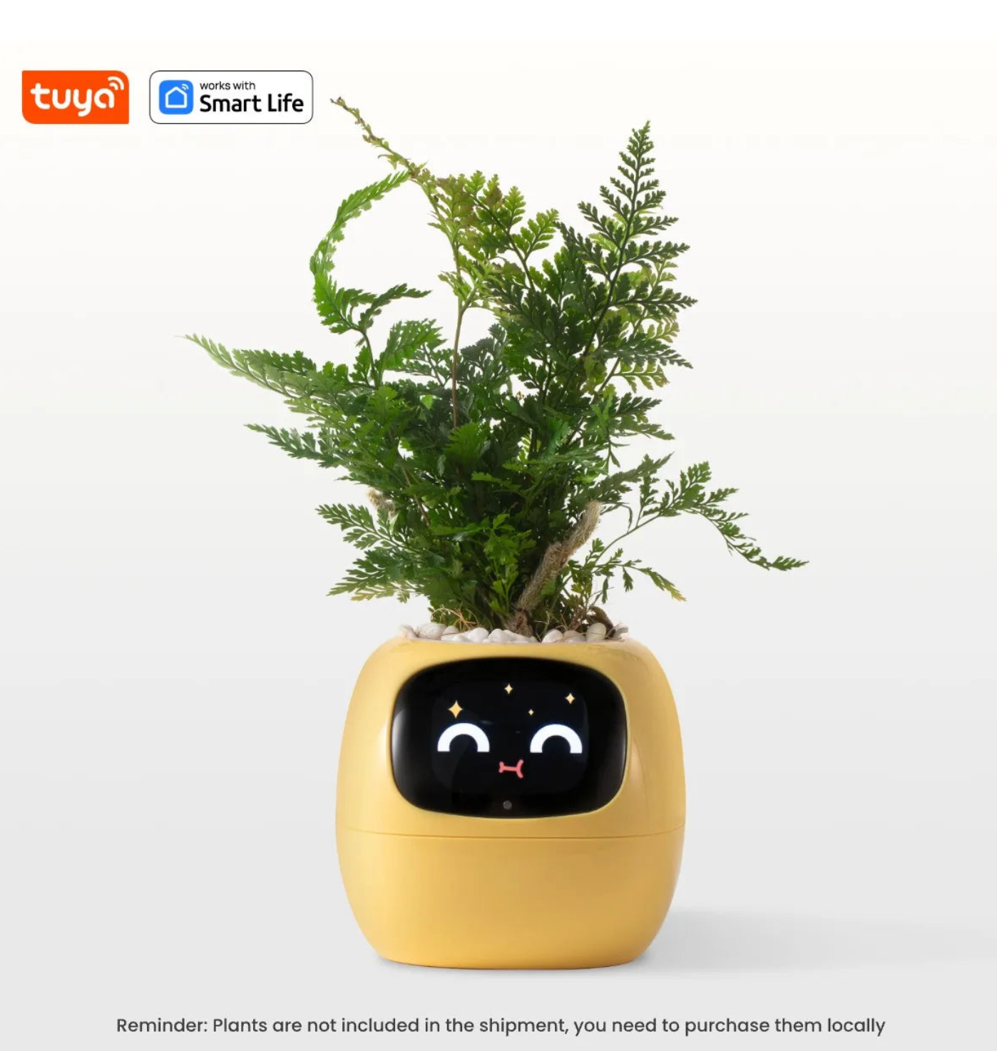 Smart Planter Endless Fun Over