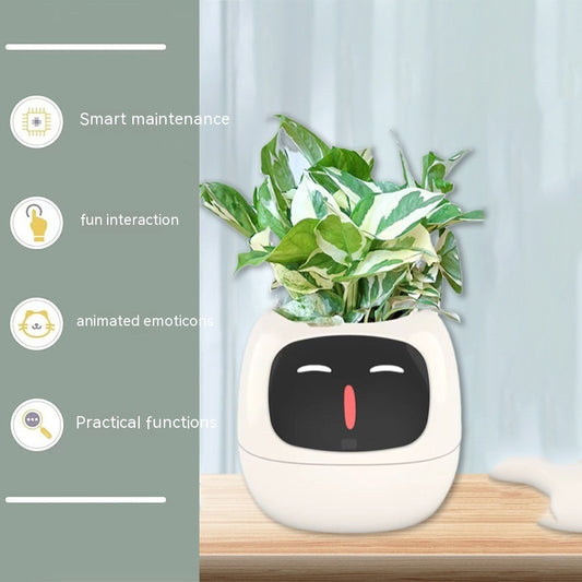 Smart Planter Endless Fun Over